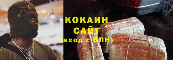 соль ск Алексин