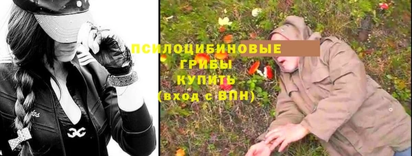 соль ск Алексин