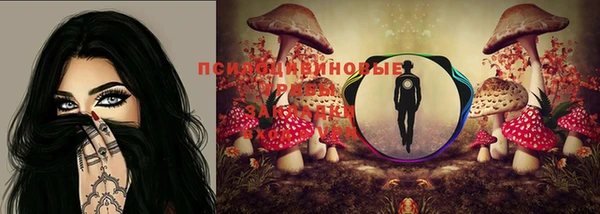 эйфоретик Ростов